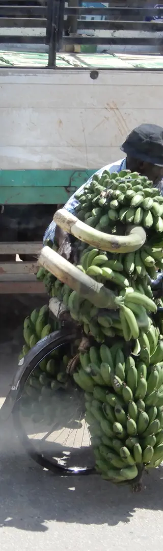Bananentransport